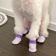 Daeng Daeng Shoes 28pc XS Pink Dog Shoes Waterproof Disposable Boots Anti-Slip Socks | Auzzi Store