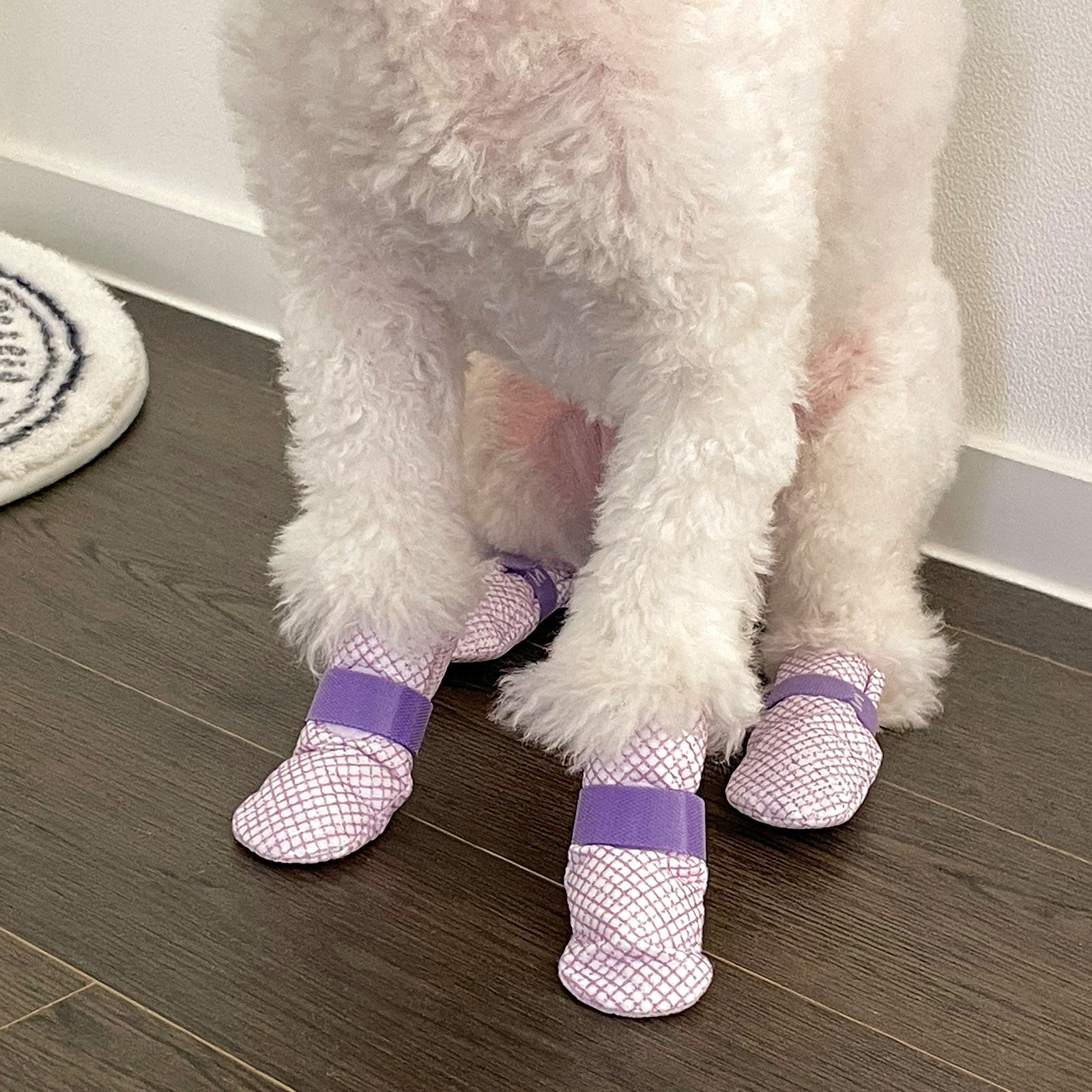 Daeng Daeng Shoes 28pc XS Pink Dog Shoes Waterproof Disposable Boots Anti-Slip Socks | Auzzi Store