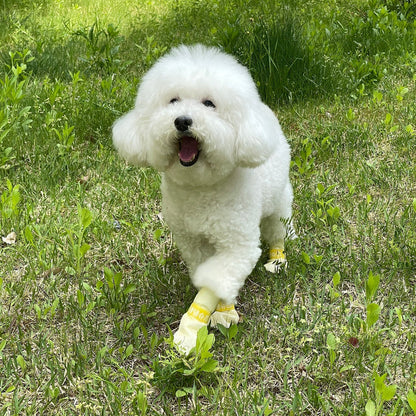 Daeng Daeng Shoes 28pc XS Yellow Dog Shoes Waterproof Disposable Boots Anti-Slip Socks | Auzzi Store