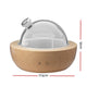 Devanti Aroma Diffuser Aromatherapy Humidifier Purifier Essential Oil LED Glass | Auzzi Store
