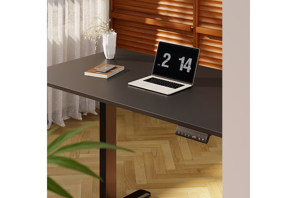 Ergolux Electric Dual Motor Standing Desk 140 x 70cm (Black)