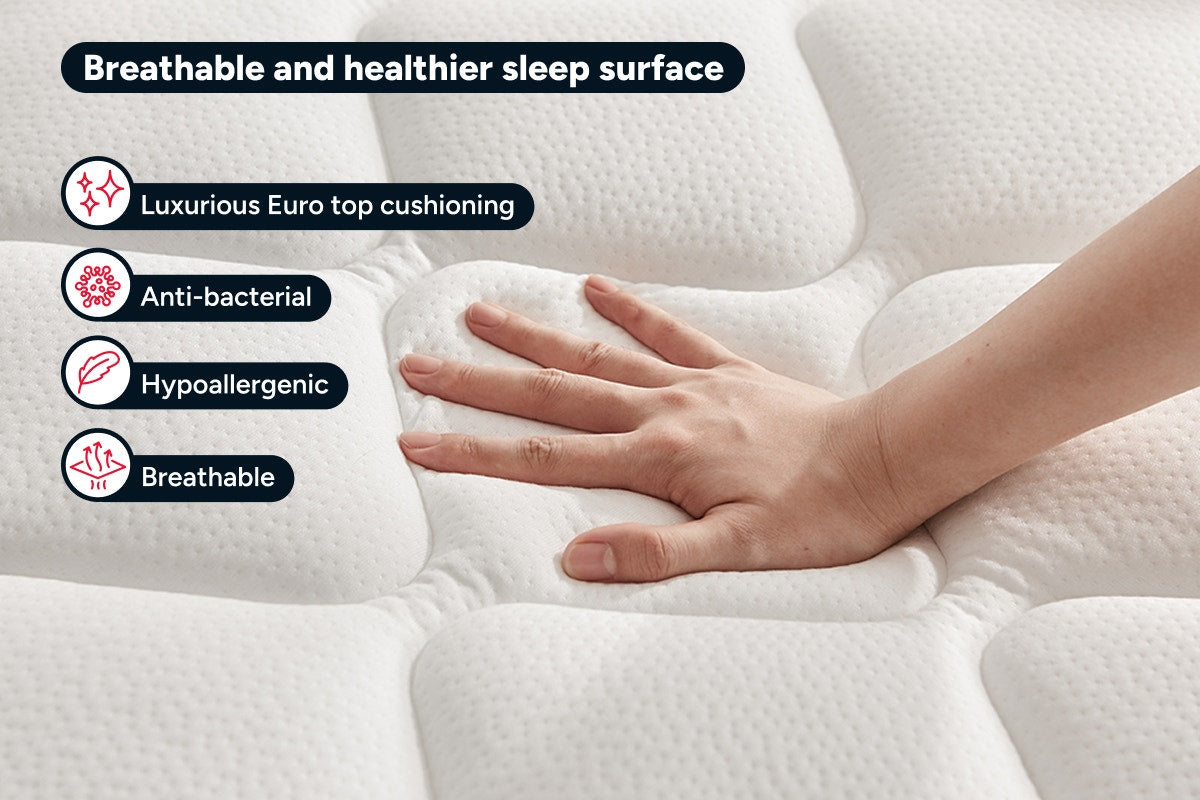 Ergolux Comfort Plus Pocket Spring Mattress (Single)