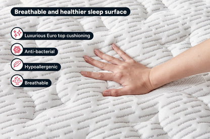 Ergolux Elite Bamboo Pocket Spring Mattress (Double)