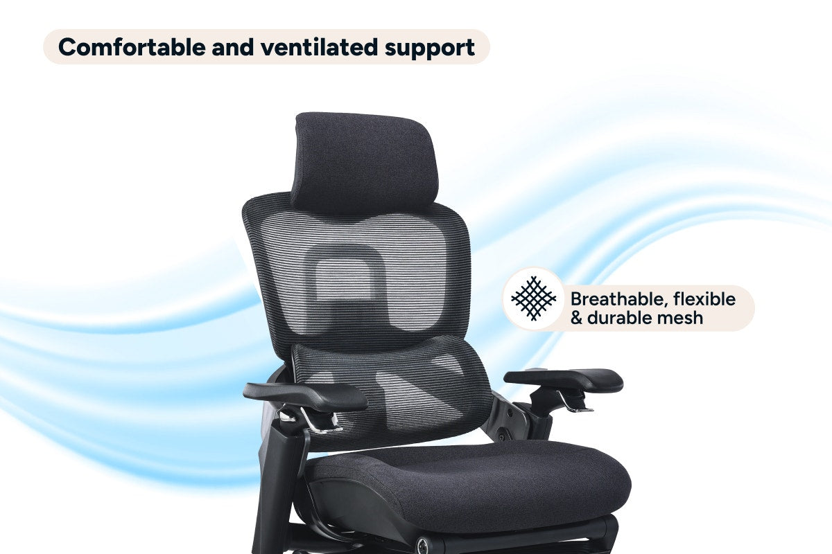 Ergolux Elite Ergonomic Foam Office Chair with Footrest (Black)