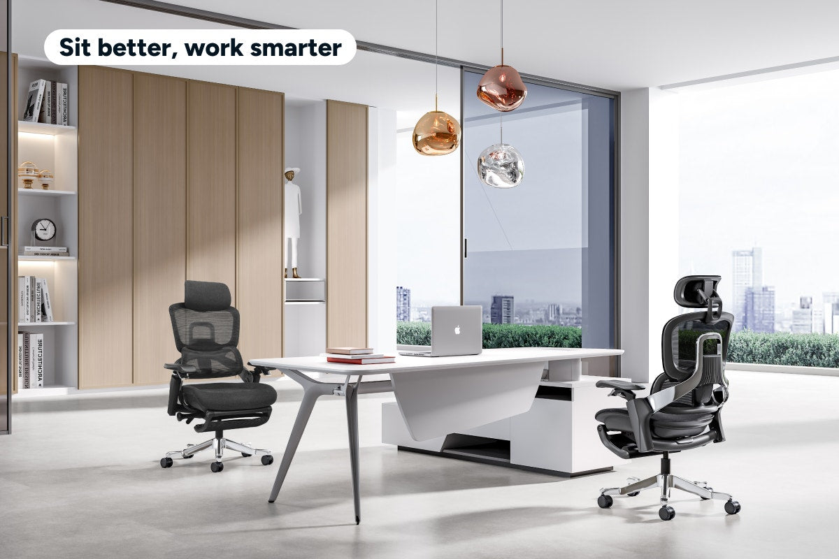 Ergolux Elite Ergonomic Foam Office Chair with Footrest (Black)