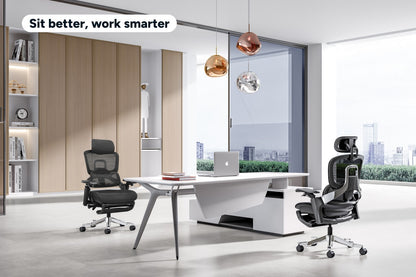 Ergolux Elite Ergonomic Foam Office Chair with Footrest (Black)