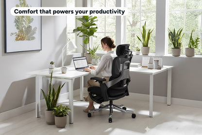 Ergolux Elite Ergonomic Foam Office Chair with Footrest (Black)