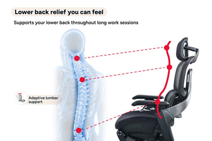 Ergolux Elite Ergonomic Foam Office Chair with Footrest (Black)