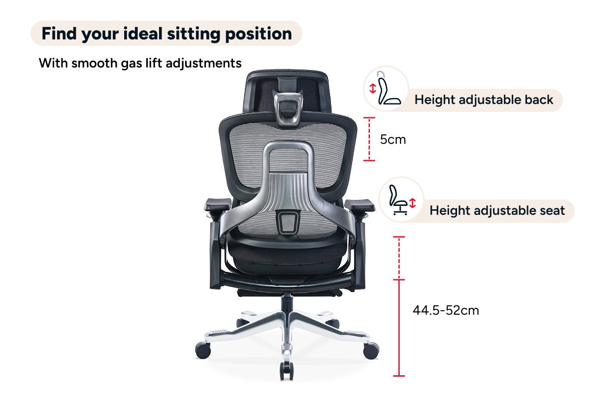 Ergolux Elite Ergonomic Foam Office Chair with Footrest (Black)