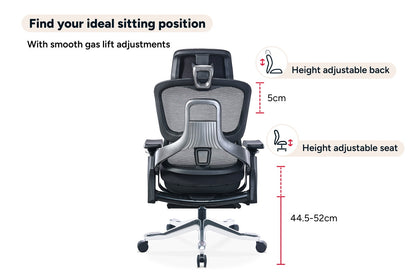 Ergolux Elite Ergonomic Foam Office Chair with Footrest (Black)