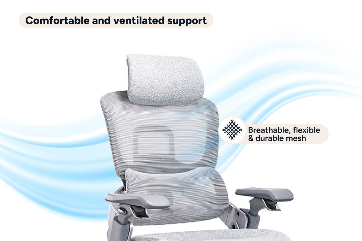 Ergolux Elite Ergonomic Foam Office Chair with Footrest (Grey)