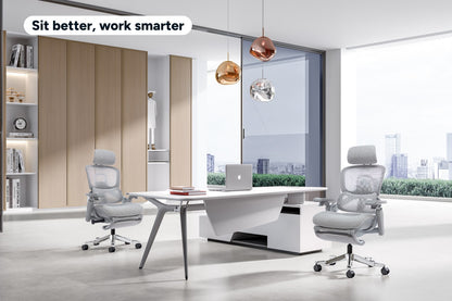 Ergolux Elite Ergonomic Foam Office Chair with Footrest (Grey)