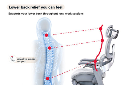 Ergolux Elite Ergonomic Foam Office Chair with Footrest (Grey)