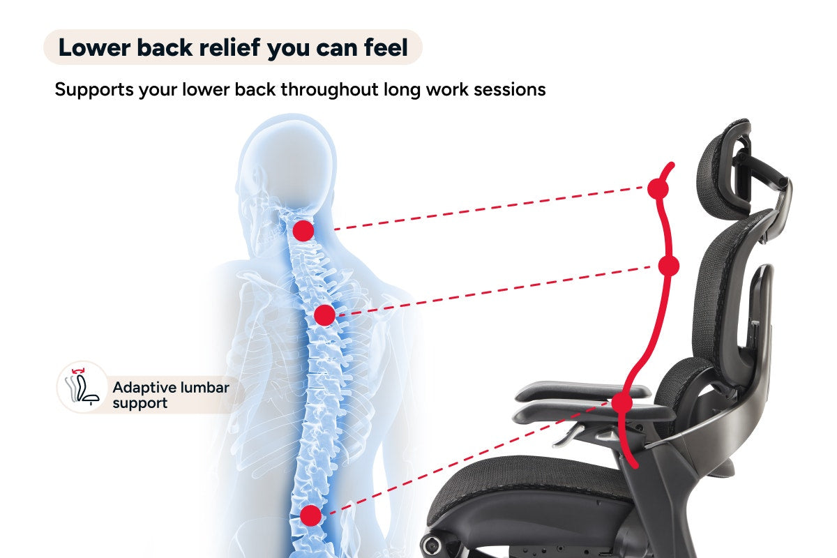 Ergolux Elite Ergonomic Mesh Office Chair with Footrest (Black)