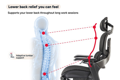 Ergolux Elite Ergonomic Mesh Office Chair with Footrest (Black)