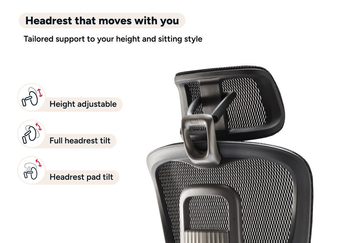 Ergolux Elite Ergonomic Mesh Office Chair with Footrest (Black)