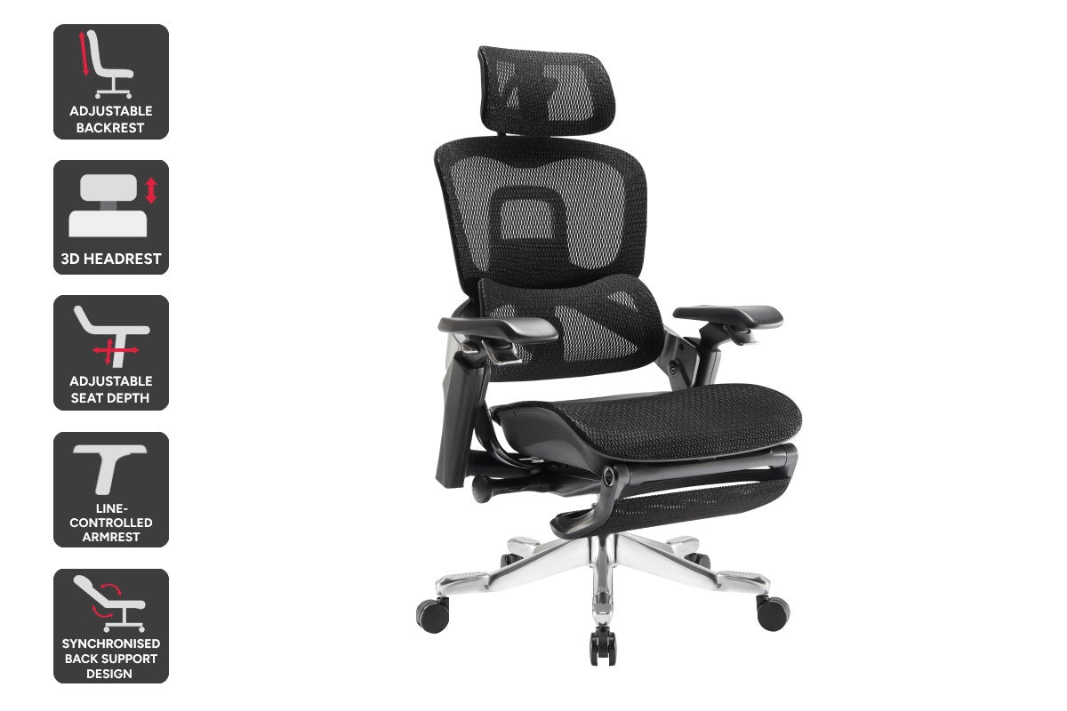 Ergolux Elite Ergonomic Office Chair with Footrest (Black)