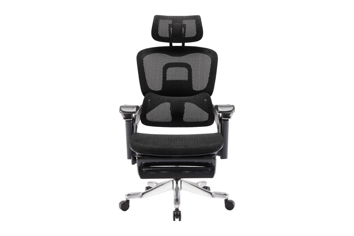 Ergolux Elite Ergonomic Office Chair with Footrest (Black)