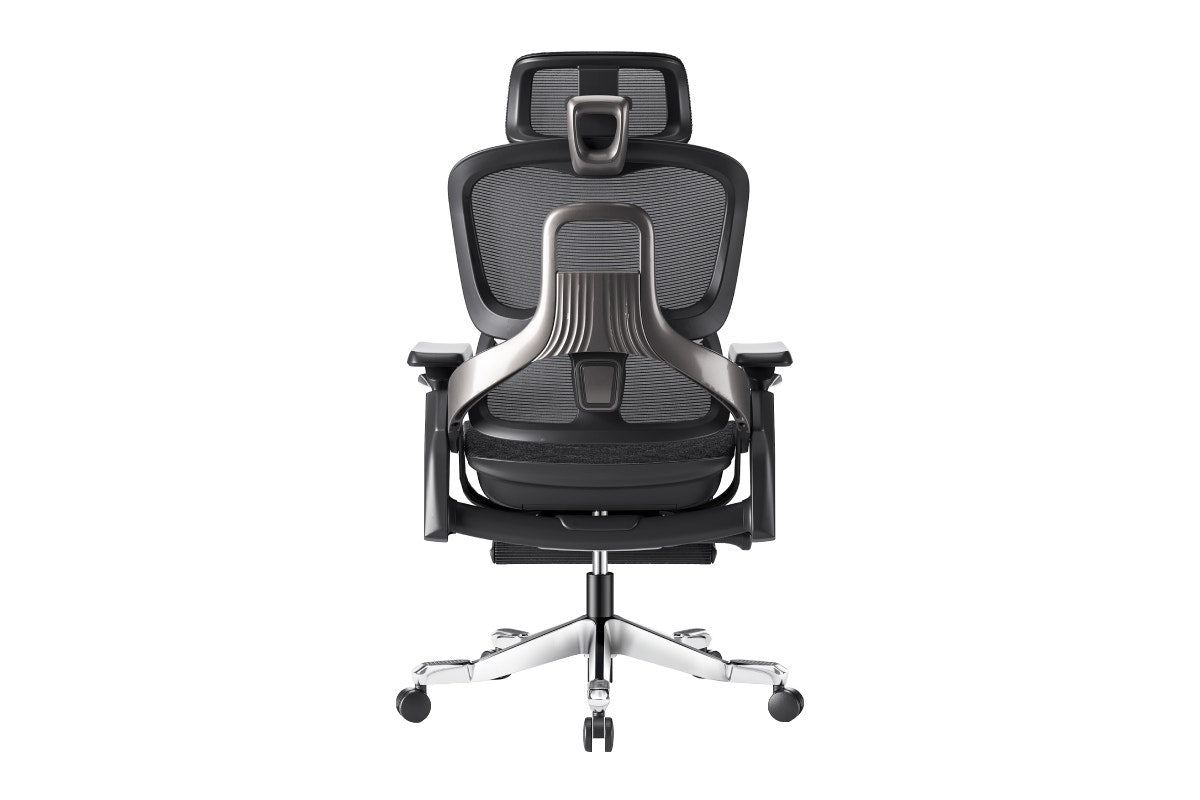 Ergolux Elite Ergonomic Office Chair with Footrest (Black)