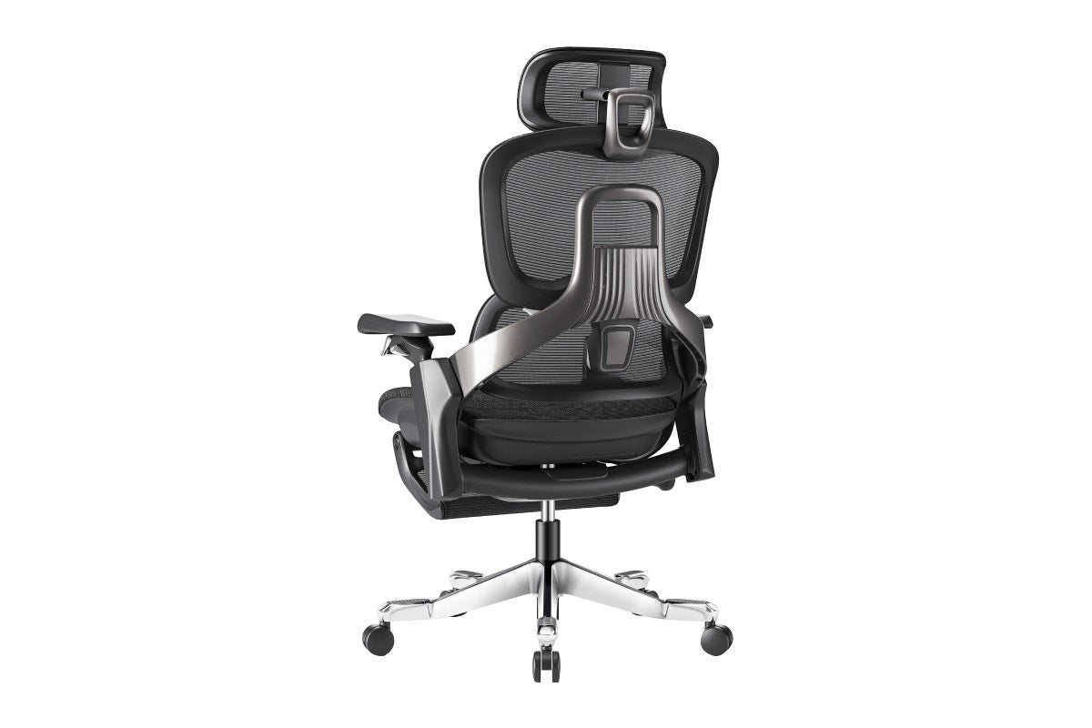 Ergolux Elite Ergonomic Office Chair with Footrest (Black)