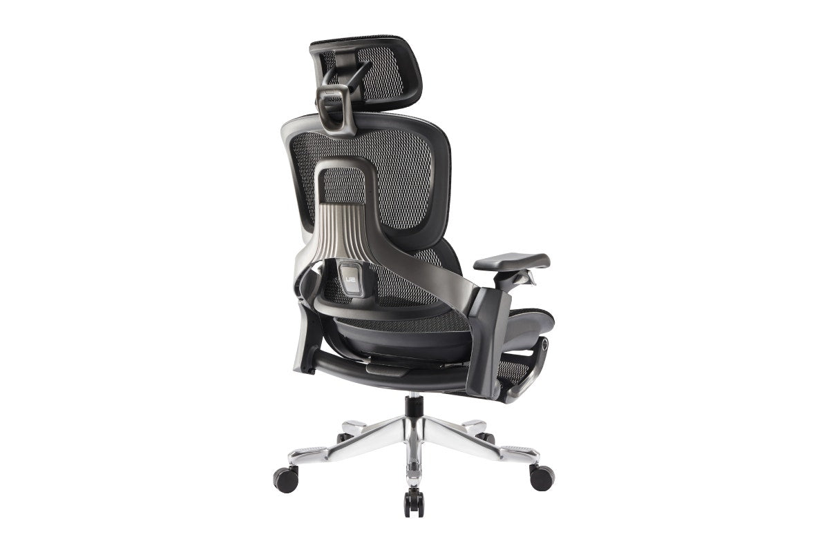 Ergolux Elite Ergonomic Office Chair with Footrest (Black)