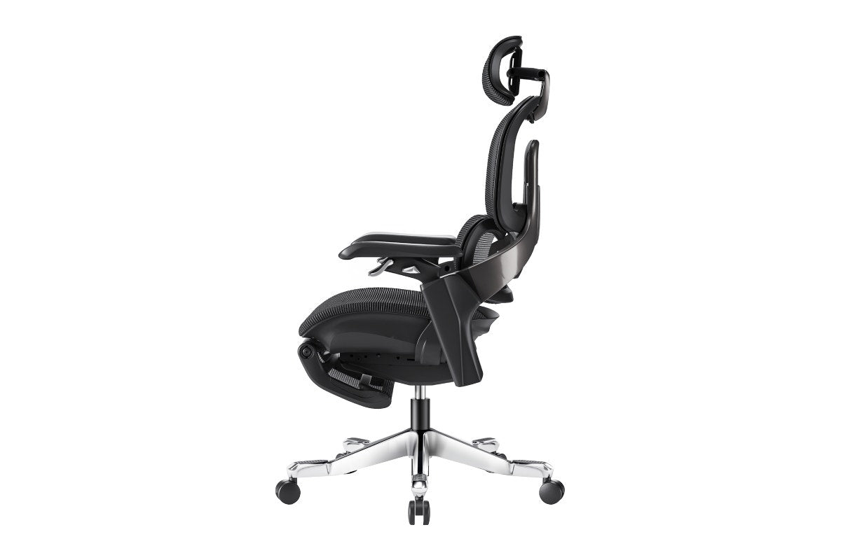 Ergolux Elite Ergonomic Office Chair with Footrest (Black)