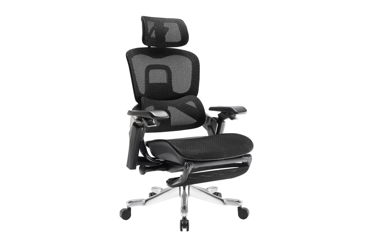 Ergolux Elite Ergonomic Mesh Office Chair with Footrest (Black)