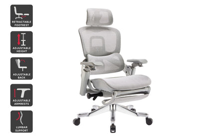 Ergolux Elite Ergonomic Mesh Office Chair with Footrest (Grey)