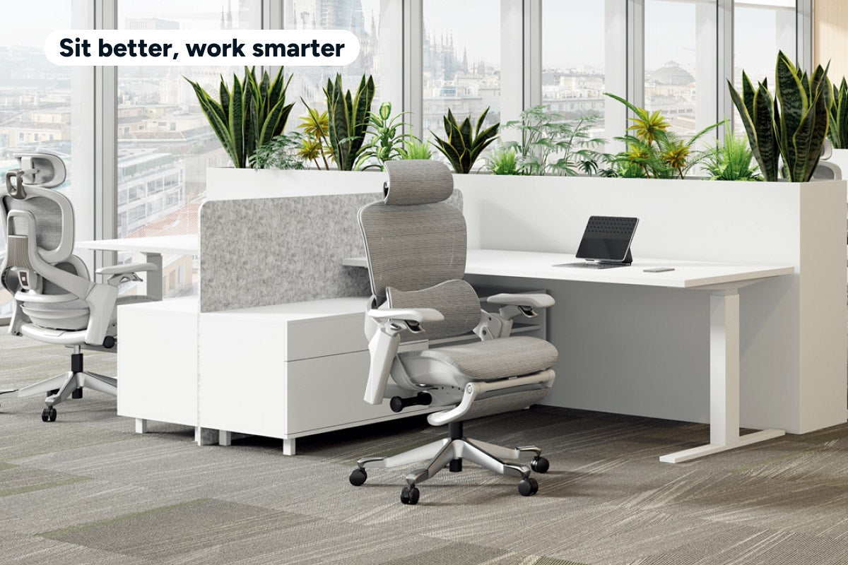 Ergolux Elite Ergonomic Mesh Office Chair with Footrest (Grey)