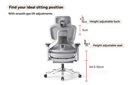 Ergolux Elite Ergonomic Mesh Office Chair with Footrest (Grey)