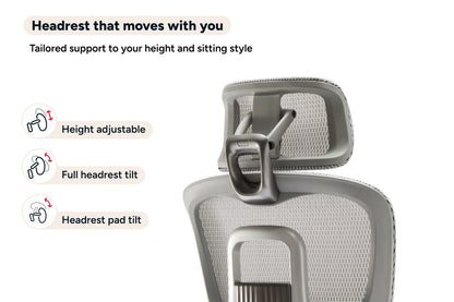 Ergolux Elite Ergonomic Mesh Office Chair with Footrest (Grey)