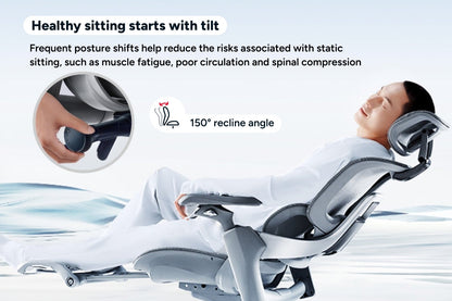 Ergolux Elite Ergonomic Mesh Office Chair with Footrest (Grey)