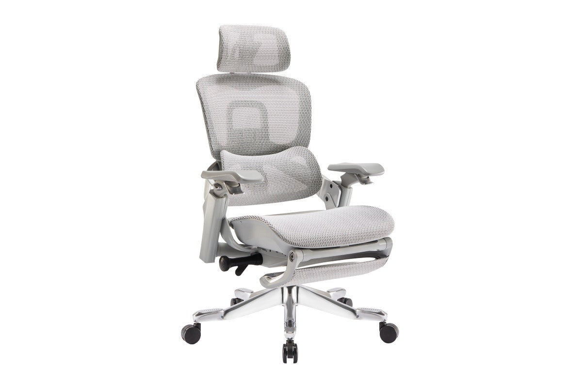 Ergolux Elite Ergonomic Mesh Office Chair with Footrest (Grey)