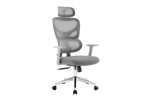 Ergolux Core Ergonomic Foam Office Chair (Grey)