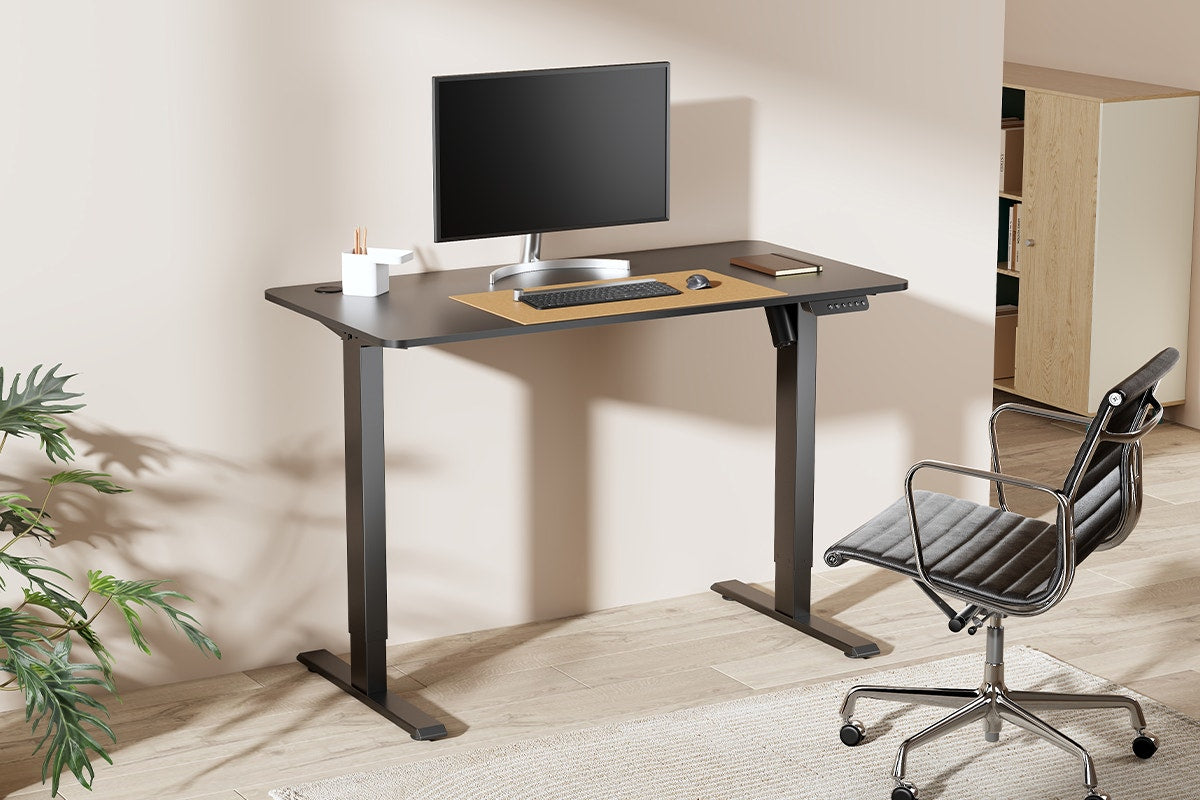 Ergolux Electric Standing Desk 120 x 60cm (Black / Black)