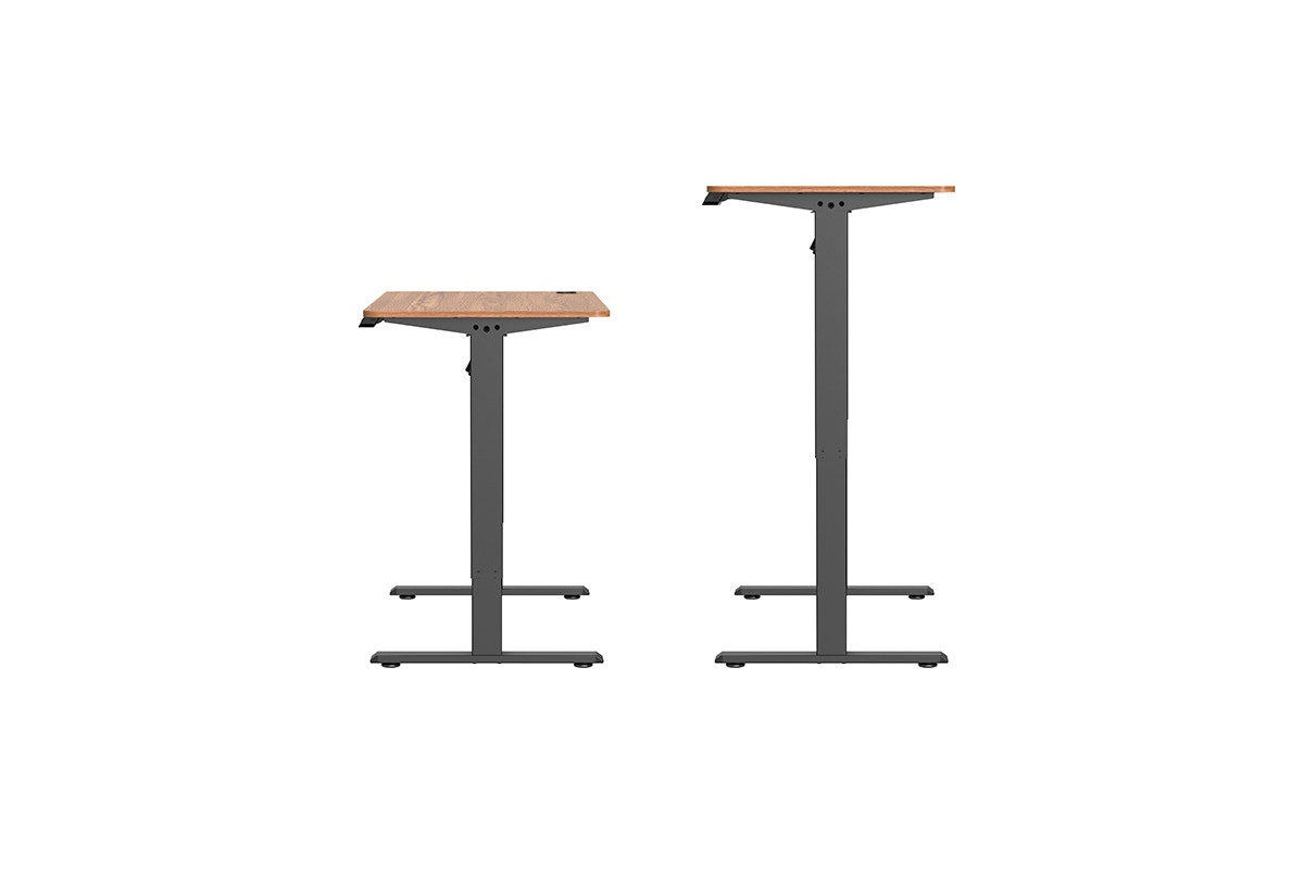 Ergolux Electric Standing Desk 120 x 60cm (Walnut/Black)