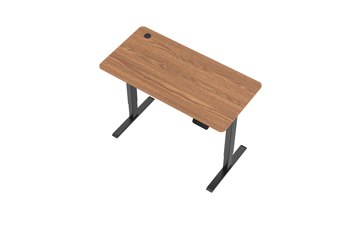 Ergolux Electric Standing Desk 120 x 60cm (Walnut/Black)