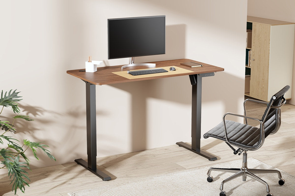 Ergolux Electric Standing Desk 120 x 60cm (Walnut/Black)