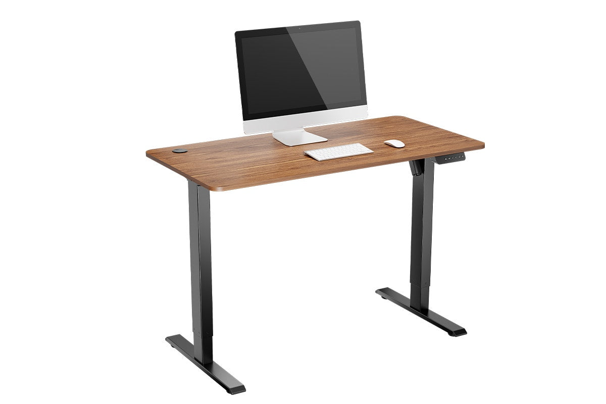 Ergolux Electric Standing Desk 120 x 60cm (Walnut/Black)