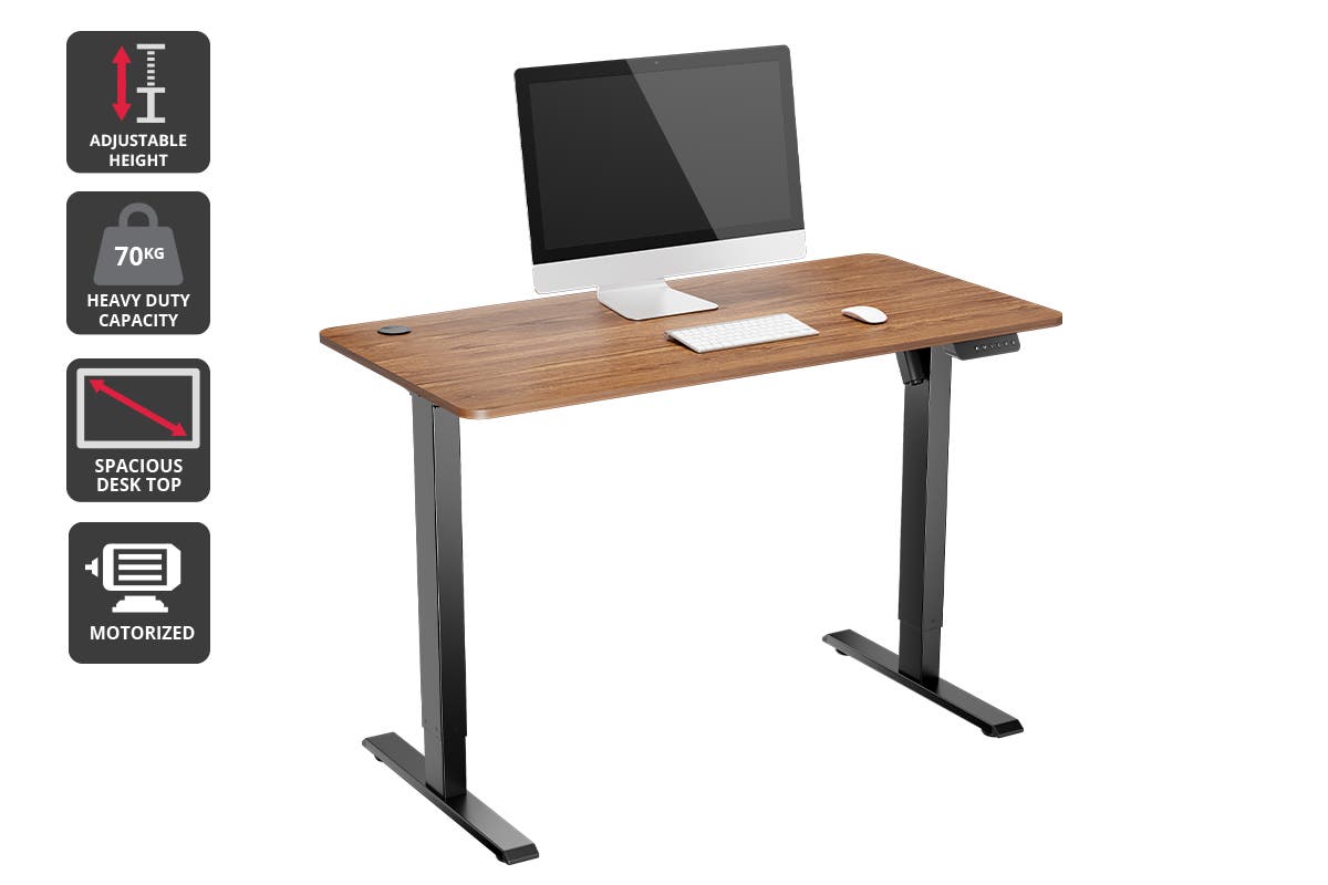 Ergolux Electric Standing Desk