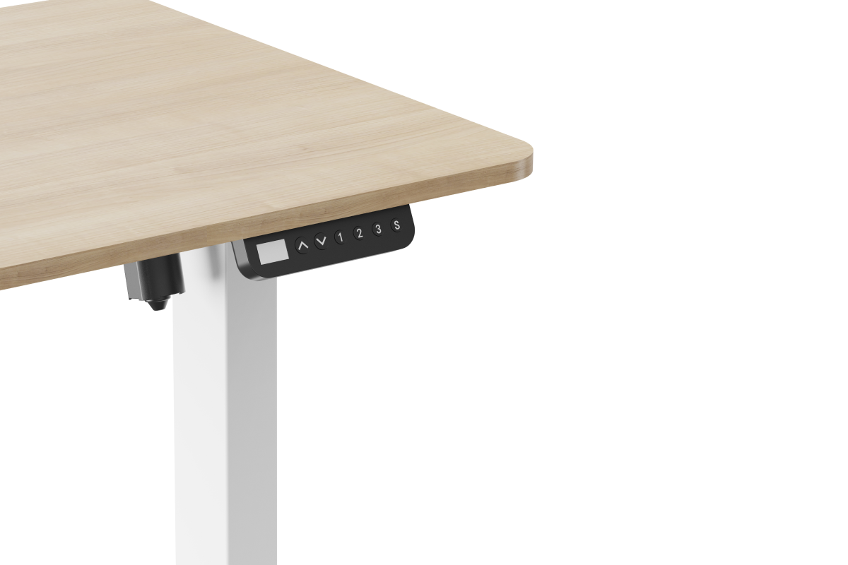 Ergolux Electric Standing Desk 120 x 60cm (Oak/White)