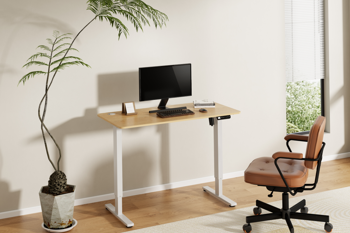 Ergolux Electric Standing Desk 120 x 60cm (Oak/White)