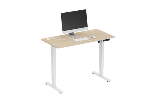 Ergolux Electric Standing Desk 120 x 60cm (Oak/White)