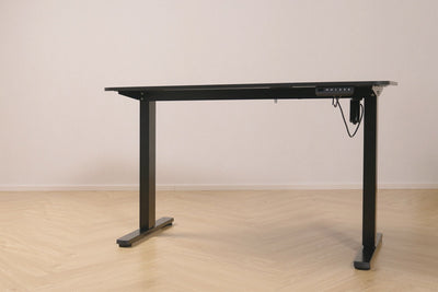 Ergolux Electric Standing Desk 120 x 60cm - Black / Black