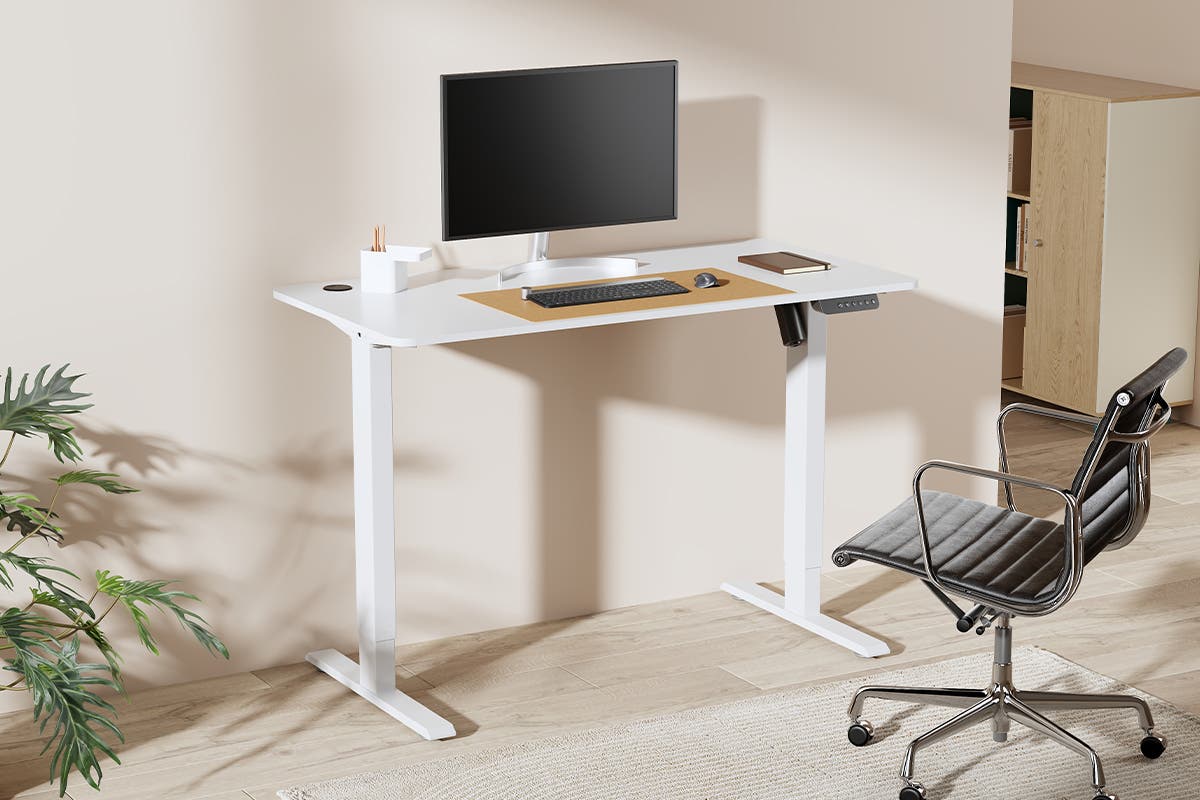 Ergolux Electric Standing Desk