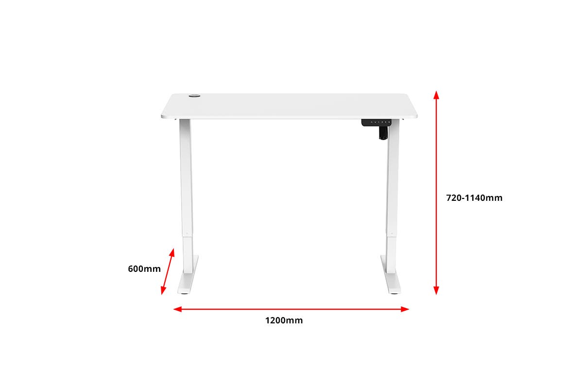 Ergolux Electric Standing Desk