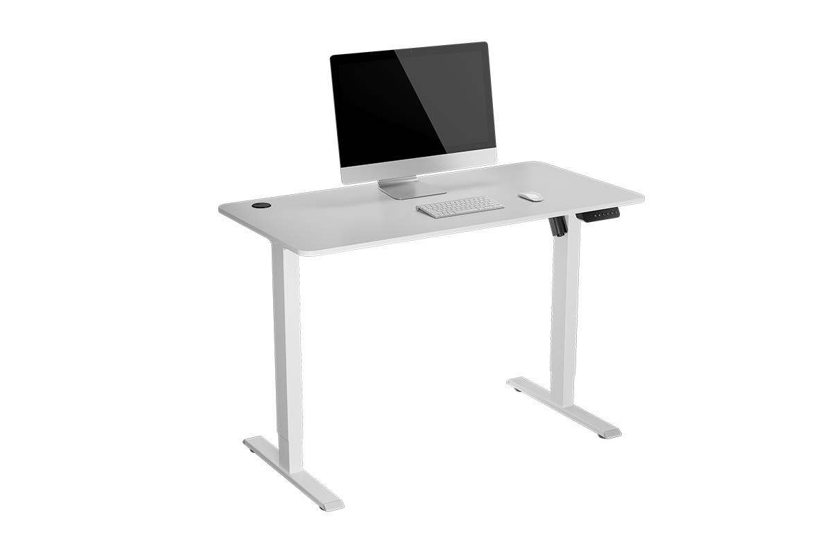 Ergolux Electric Standing Desk  - White 