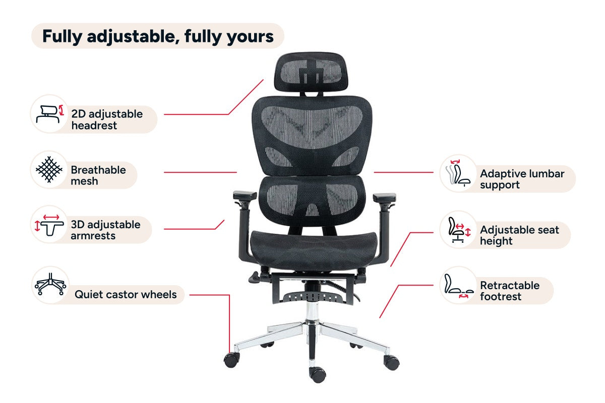 Ergolux EZ11 Ergonomic Mesh Office Chair with Footrest (Black)