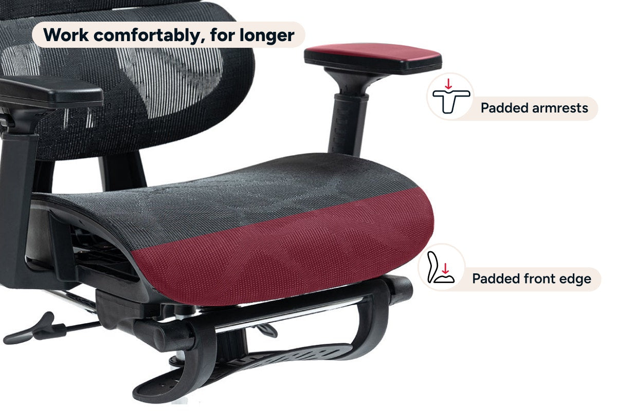 Ergolux EZ11 Ergonomic Mesh Office Chair with Footrest (Black)