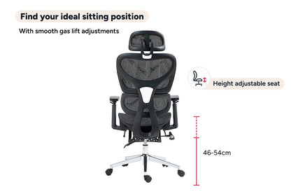 Ergolux EZ11 Ergonomic Mesh Office Chair with Footrest (Black)